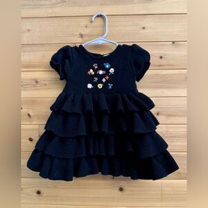 Hanna Andersson Size 70/6-12 Months Embroidered Floral Ruffle Skirt Dress